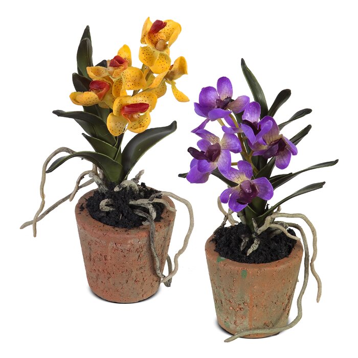 New Growth Designs Faux Mini Vanda Orchid Flower in Pot